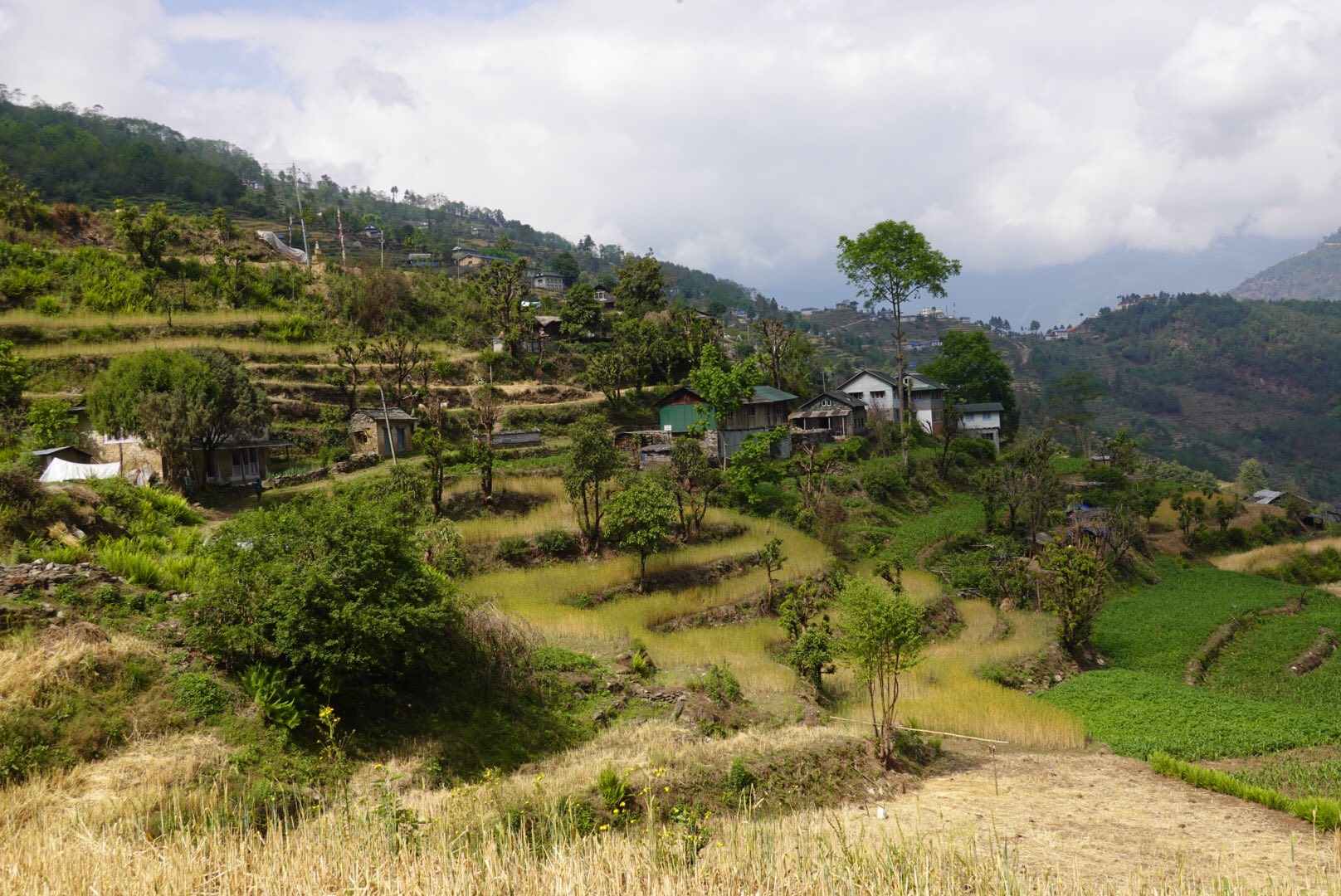 Thing you are looking for peaceful environment to live.